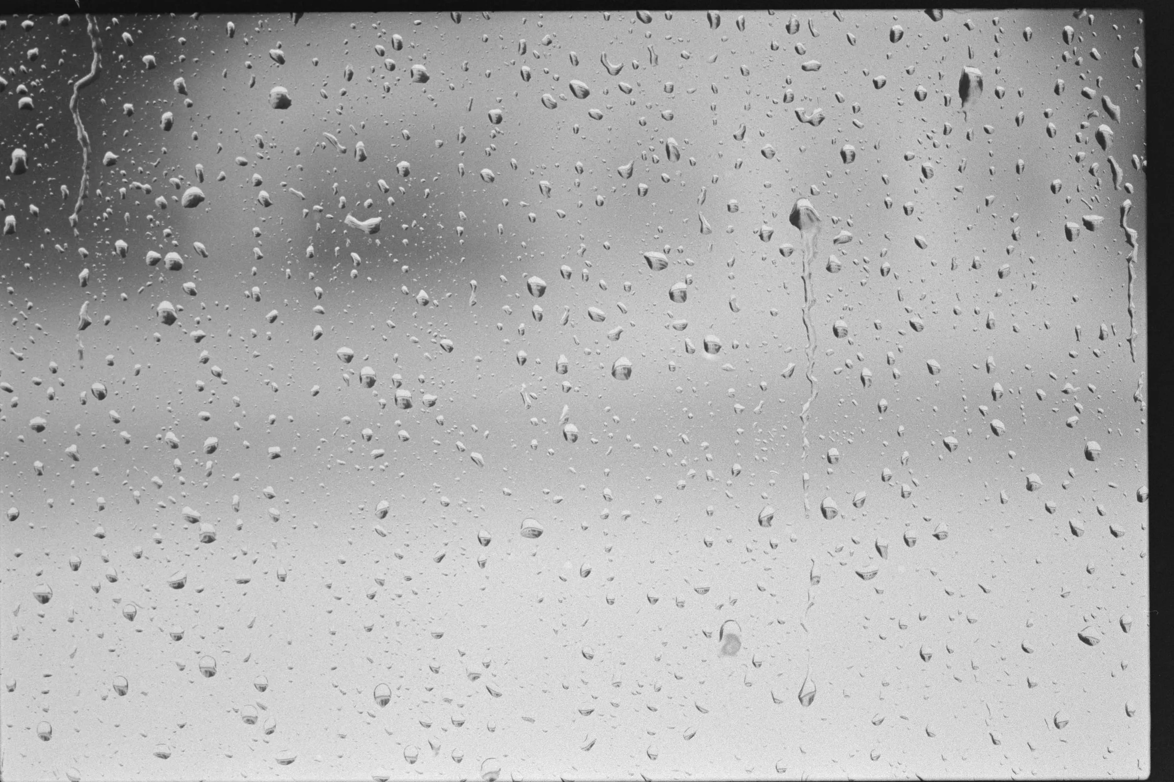 Regen. Rostock, 2026